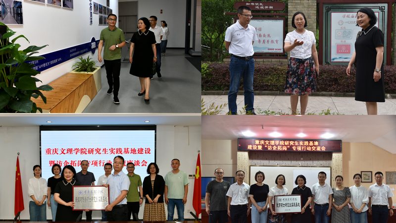 上海mg动画素材免费下载：揭秘优质资源的获取之道