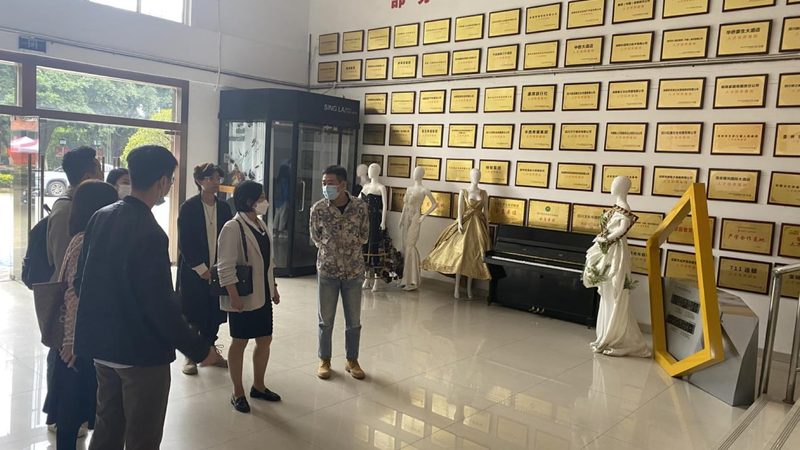 媒介投放方案制定步骤：从策略规划到效果评估